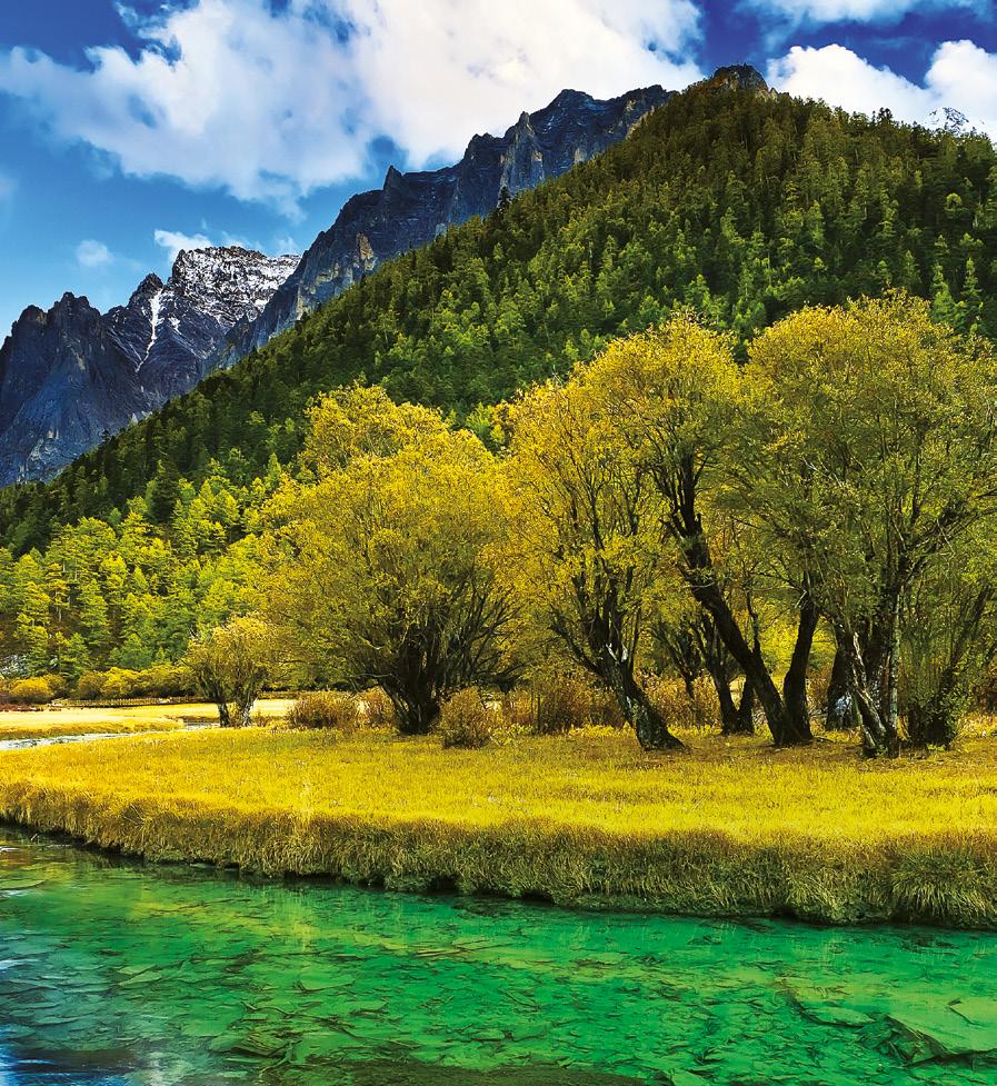 Organic Sea Berry Představte si úrodné tibetské údolí plné čisté energie a netknuté přírody.