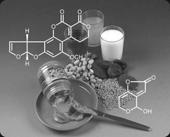 Mykotoxiny Obecná toxicita 1 = hepatotoxicita / karcinogenita Aflatoxin - vyžaduje aktivaci (jako PAHs) - reaktivní látka: hypersensitivity - efekty na buněčnou imunitu (T-b., NK.