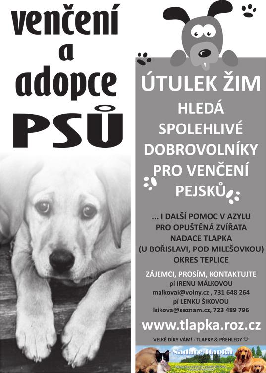 58... bylo, je C i bude / káráme-chválíme e Ve spolupráci s Nadací Tlapka přináší server iteplice.cz pravidelně přehled opuštěných zvířat - psů a koček z žimského útulku nadace.