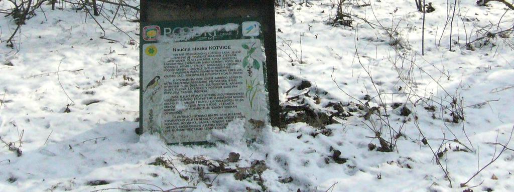 Odbor stavebního řádu a územního plánování Kontrolní prohlídky 173 Dohled na místních