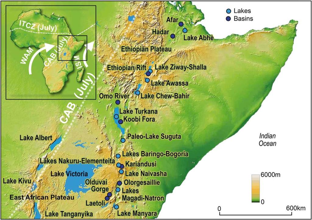 Vznik rodu Homo Za příčinu vzniku rodu Homo se považují klimatické a hydrologické změny na africkém kontinentu na hranici pliocén/pleistocén.