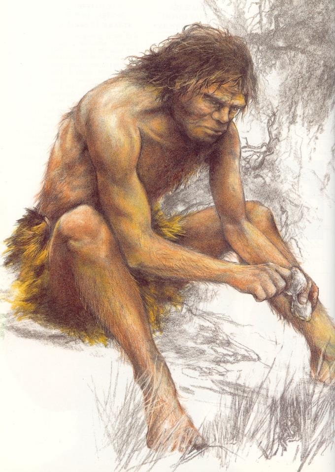 Homo antecessor (člověk předchůdce) - druh člověka popsaný v roce 1997 z nálezů z lokality Grand Dolina v Sierra de Atapuerca v severním Španělsku, nálezy uložené v městě Burgos, - k tomuto