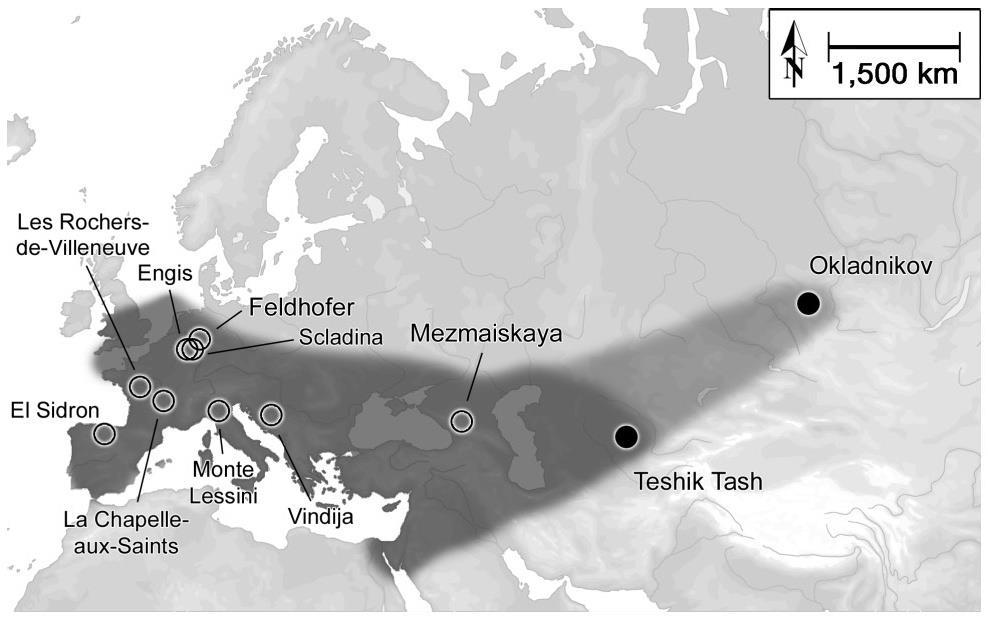 Homo denisoviensis (hominin X) Prstní článek nalezený v roce 2008 v Denisově jeskyni na Altaji