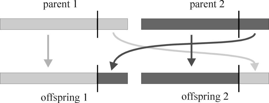 Crossover pmutace aprovides křížení random (recombination) information exchange - works on