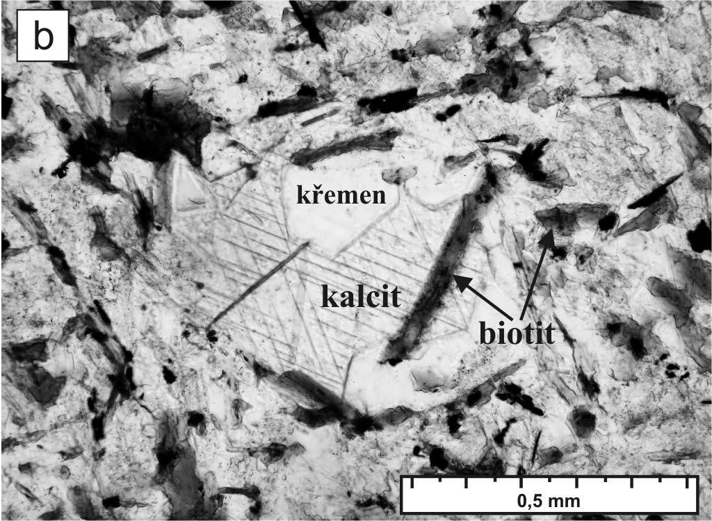 Devonské stáří skupiny prokazuje drakovský kvarcit, který popsal a paleontologicky doložil Chlupáč (mj. 1989) mezi Rejvízem a Dolním Údolím.