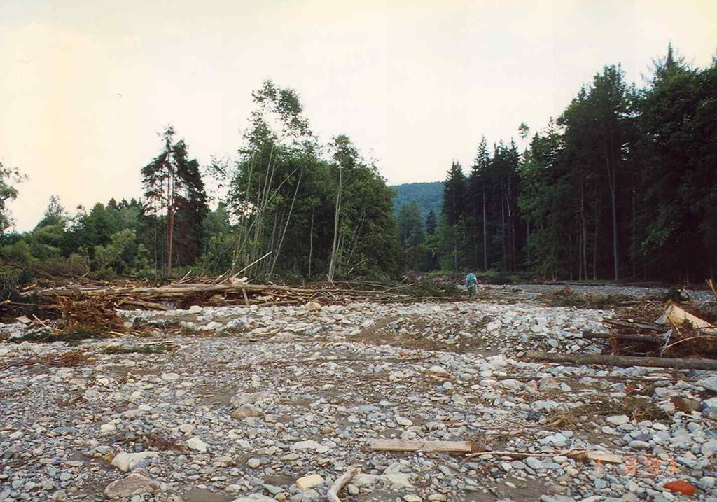 Zničený pás lesa pod Vrbnem na řece