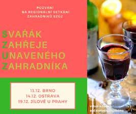 Z následné diskuze vyplynulo, že ABAJ by mohla být partnerem při připomínkování zákona č. 258 o veřejném zdraví. První jednání by se mohla uskutečnit na přelomu ledna a února.