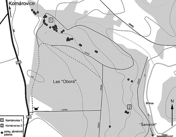Acta rerum naturalium 12: 137 144, 2012 ISSN 1801-5972 Obr. 3. Topografická situace pozůstatků po dolování u Komárovic. Fig. 3. Topographic situation of the remnants after mining at Komárovice.