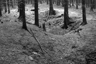 Vladimír Hrazdil, Pavel Škrdla, Stanislav Houzar, Milan Vokáč: Historické dolování stříbrných rud v Komárovicích u Jihlavy, západní Morava a zachovalou skupinou 4 jam lemovaných odvaly (obr. 6).