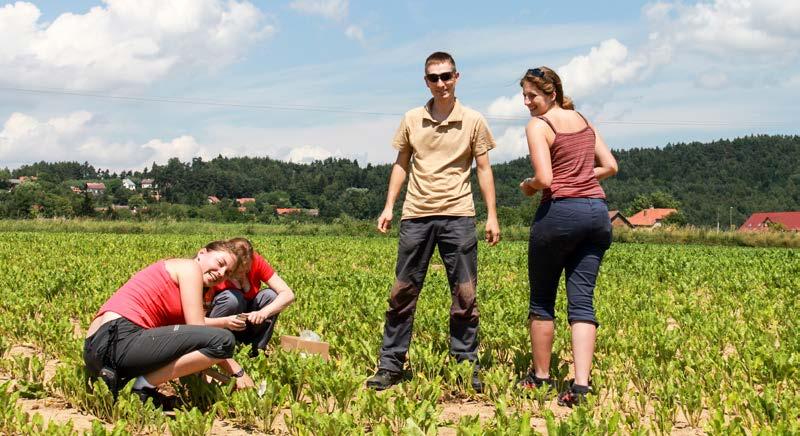 Na ně navazují předměty specializující obor (Pěstování rostlin, Jakost a zpracování rostlinných produktů, Mechanizace rostlinné výroby a předměty ekonomické).