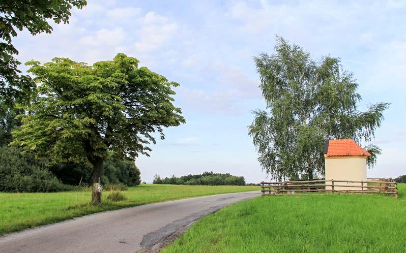 Absolvent získá na základě studia přírodovědných, zemědělsky zaměřených a socio-ekonomických předmětů široký odborný základ nezbytný pro řešení situací vyžadujících mezioborový přístup respektující