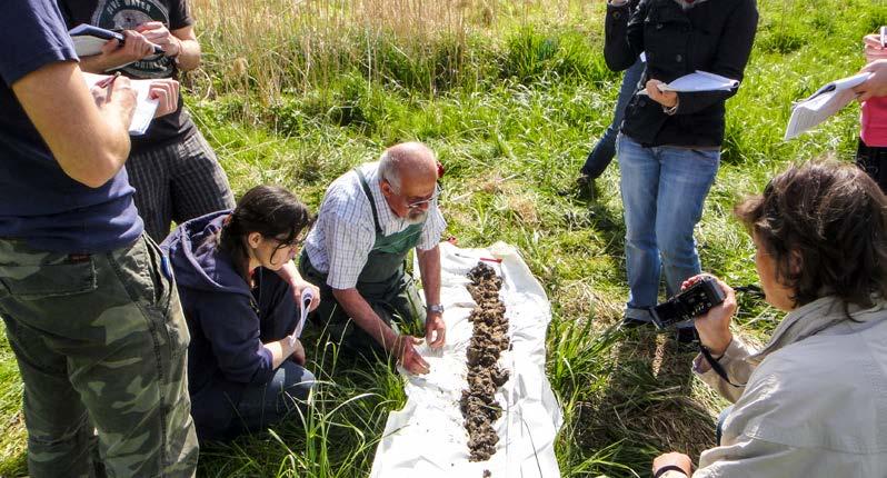 Pozornost je věnována hodnocení a mapování půdních vlastností, hodnocení ohrožení a degradace půd v důsledku eroze nebo kontaminace látkami používanými v zemědělství, průmyslu či v důsledku