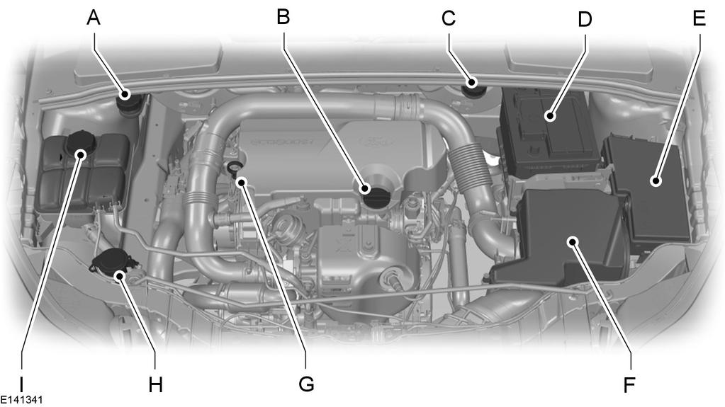 Údržba PŘEHLED SOUČÁSTÍ POD KAPOTOU - 1,0L ECOBOOST A B C D E F G H I Zásobník brzdové a spojkové kapaliny (řízení na pravé straně) Viz Kontrola brzdové a spojkové kapaliny (stana 205).