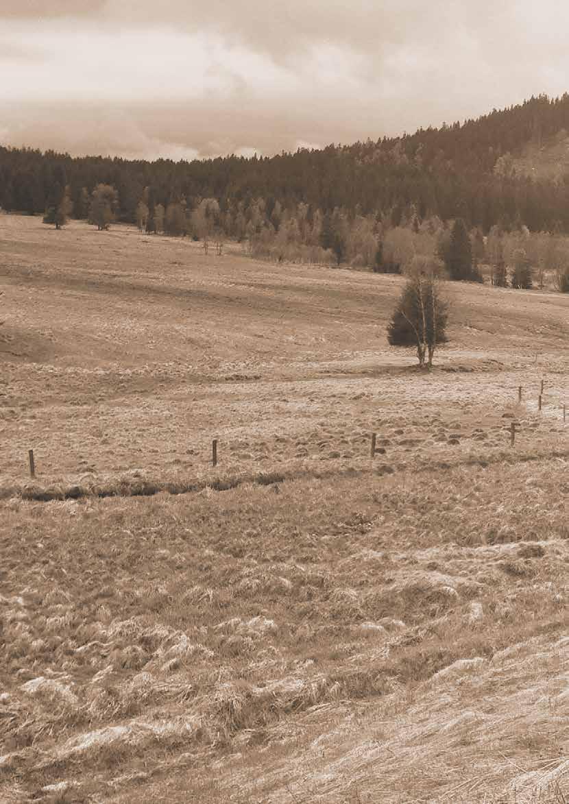Z historie usedlosti Pollauf s domovními čísly 16, 17, 18 a 20 Původní panství prodalo město Kašperské Hory občanu jménem Tobias MÜLLER.