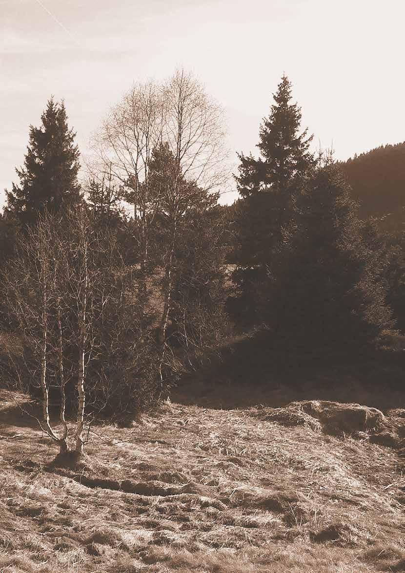 Ubytování Nabízíme ubytování ve dvoulůžkových pokojích (s možností 1 2