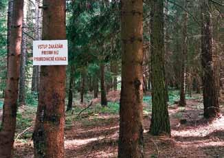 Šotoinfo Kolvínka Kolvín hled na rozlehlý odlesněný prostor zvedající se do mírného kopce.