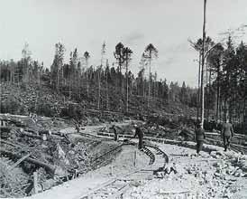 S budováním svážných úzkokolejných drah o rozchodu 760 mm se započalo koncem zimy 1942 a železnice sloužila ke svážení dřeva z lesů na pilu do Mirošova. To trvalo několik let.