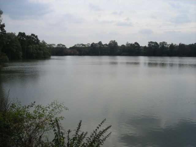 Rybník Svárov Svárovský rybník (obr. 5) o rozloze 12 ha na Svárovském potoce se nachází u železniční trati a zastávky Poříčí nad Sázavou-Svárov 4,5 km východně od Týnce nad Sázavou.