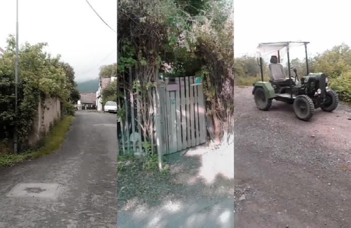 Na prostředním snímku je parcela, jejíž plot s výjimkou vrátek tvoří jasanové, stále dořezávané kmínky. Na obrázku vpravo je samohyb Milana, kterému nosím kosti, a on mi za ně dává vajíčka.