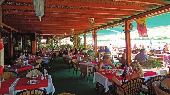 vily mohou využívat pláž přímo před restaurací Tropico lehátka a slunečníky za poplatek VYBAVENÍ: recepce menší restaurace WiFi v ubytovací části vily a