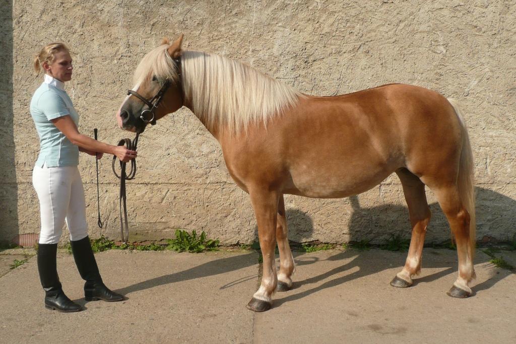 Neumayr Renate, Rakousko Počet bodů: 6,8 KVH: 143 cm; PK Jméno: 53/881 Gorti Datum