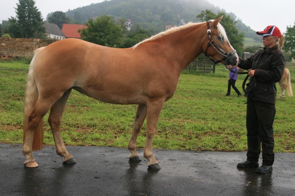 Jméno: 22/885 Emi von Stein Datum narození: 17. 5.