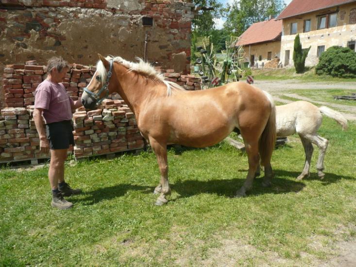 Jméno: Flora Datum narození: 15. 3.