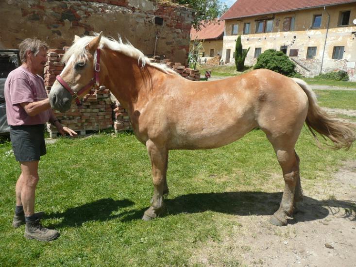 Jméno: Arabella Datum narození: 19. 3.