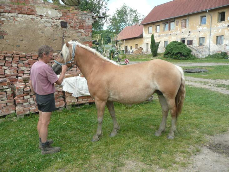 Jméno: Lore Datum narození: 18. 3.