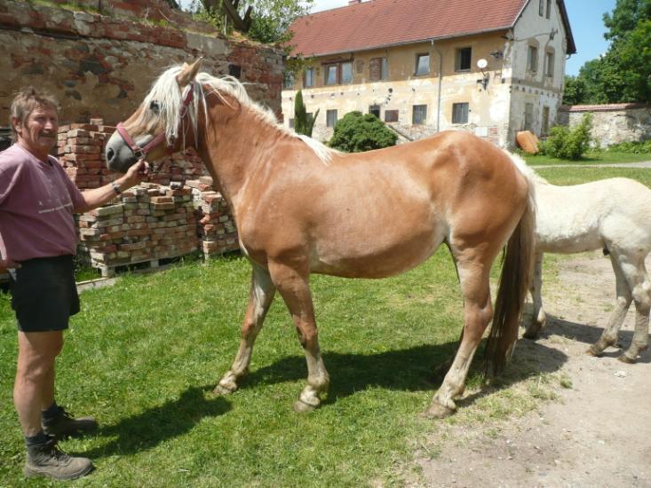 Jméno: Florance Datum narození: 27. 4.