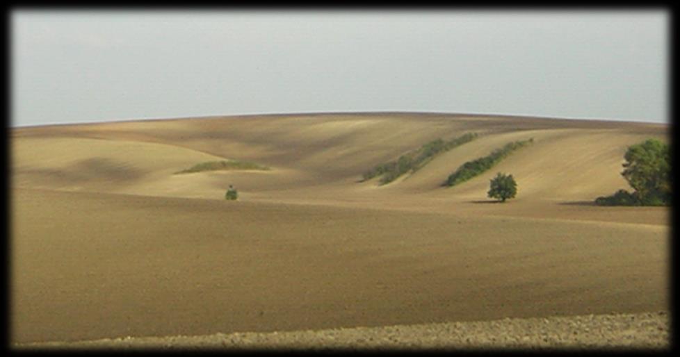 Šardic.