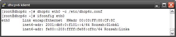 Větší množství nastavení lze nalézt v manuálových stránkách konfiguračního souboru dhcp6s.conf. 11.2 Konfigurace DHCPv6 klienta O funkci klienta se stará démon s názvem dhcp6c.