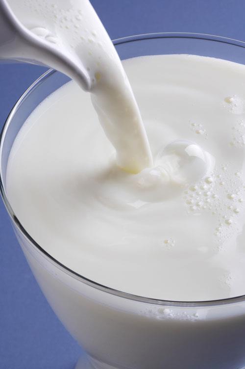 LAKTOSA (mléčný cukr) - je obsažena v mléce savců -