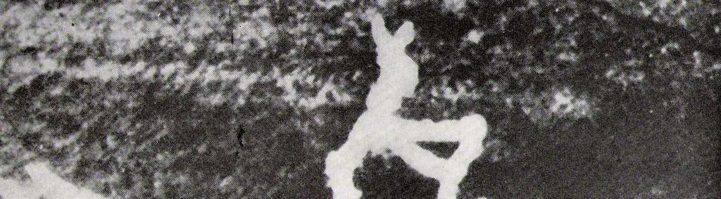 1. STRUČNÁ CHARAKTERISTIKA HISTORIE LYŽAŘSTVÍ Vývoj lyží a lyžování je úzce spjat s vývojem samotného lidstva a s vývojem jeho výrobních prostředků. 1.