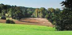 VÝBĚR Z NABÍDKY POZEMKŮ pro bydlení Velké Losiny / Bukovice 3 018 m² vodovod, kanalizace, plyn, elektřina 1 360 000 Kč pro bydlení Jestřebí 11 917 m² elektřina 2 340 000 Kč pobočka Uherské Hradiště,