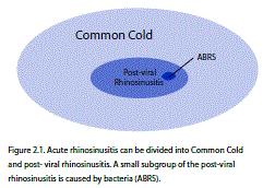 PŘEDSTAVA KONSENZU O AKUTNÍM ZÁNĚTU HCD = virová rhinosinusitis Tj. neinfekční (?), doznívající rhinosinusitis = stadium resoluce? Až 12 týdnů?