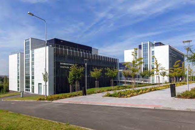 První budovy univerzitního kampusu UniMeC (Univerzitní medicínské centrum), alej