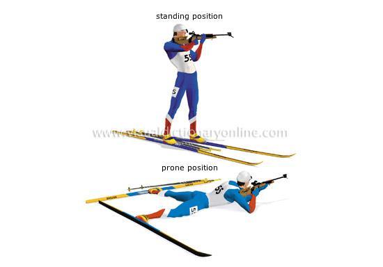 PRAKTICKÁ ČÁST Obrázek 1: Střelecké pozice (převzato z http://visual.merriam-webster.com) 5.4 ZÁKLADNÍ PRAVIDLA 5.4.1 KATEGORIE Základní kategorie, v nichž IBU organizuje soutěže, lze rozdělit dle věku závodníků.