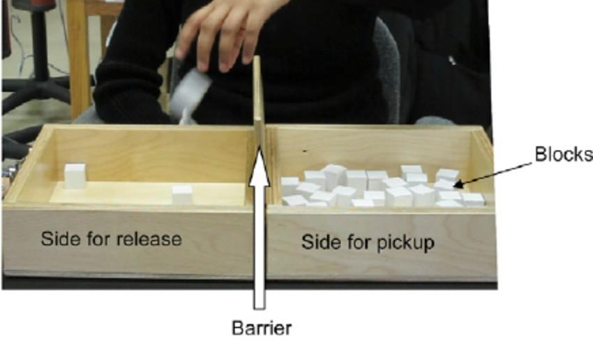 Ilustrace 5: Box and Block Test (Seo a Enders, 2012) 1.4.