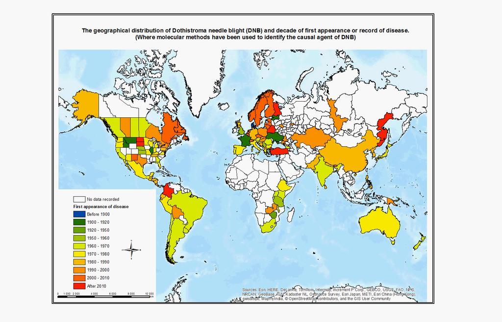 Geografické rozšíření červené sypavky Dothistroma