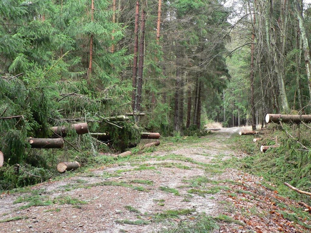 K tomu připočteme další desítky km zpevněných lesních cest typu 1L až 3L, které nejsou nijak označené, ale turisty rovněž využívané. Všechny tyto stezky a zařízení mají Lesy města Písku s.r.o. ve správě.