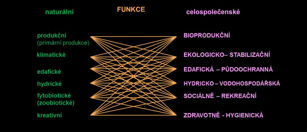 Zdravotně-hygienická funkce Zdravotně-hygienický potenciál lesa Je kvantifikovaná, maximálně možná funkční schopnost lesních ekosystémů, v optimu ekosystémových podmínek produkovat synergické