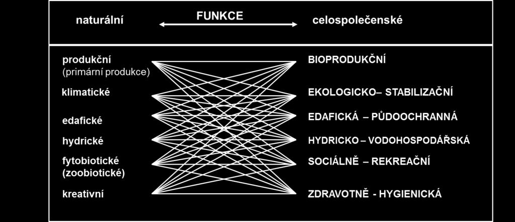 Zdravotně-hygienické účinky lesa fyziologické klimatické optimum - hygiena klimatu tlumení klimatických extrémů filtrace tuhých, plynných a aerosolových látek kyslíkový režim ovzduší, režim CO 2