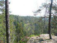 Výhled na Großer Zschirnstein, přes údolí Kamenice na Růžovský vrch.
