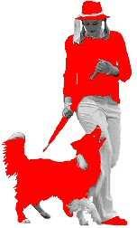 Kontakty DOG DANCING CLUB CZECH REPUBLIC www.dogdancing.wz.cz Výbor PŘEDSEDKYNĚ: Šimona Drábková U Uranie 5, 170 00, Praha 7 tel: 777 077 509 simonadsara@seznam.