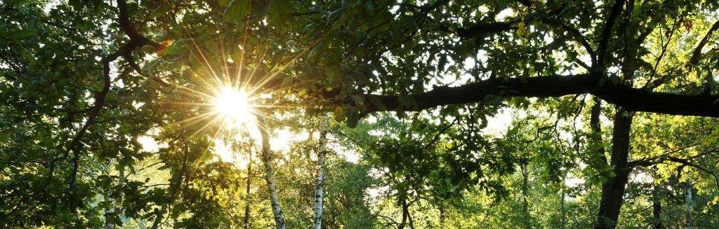 Poslání Vybudovat z území Toulavy kompaktní turistickou oblast, kde se návštěvníci zdrží delší dobu, kam se budou rádi vracet.