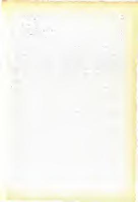 ' 76. C/slicovy^ zvonek s melodtf ". 201 77.
