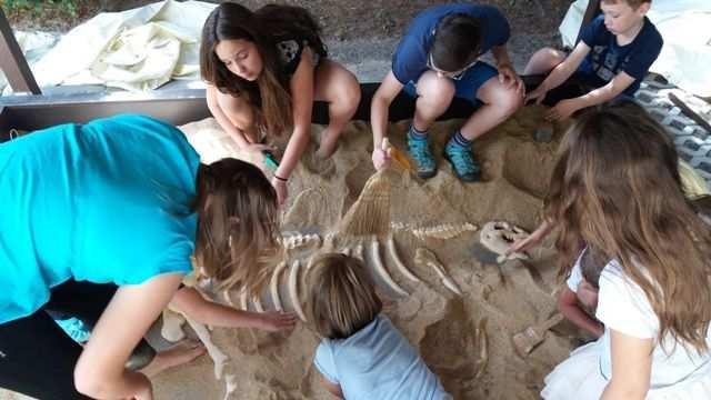 příměstské tábory 4.7.-8.7. PUTOVÁNÍ S DINOSAURY I. I.POSPÍŠILOVÁ 11.7.- 15.7. PUTOVÁNÍ S DINOSAURY II. I.POSPÍŠILOVÁ 18.