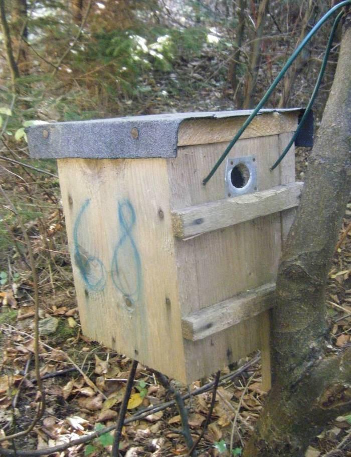 jako jsme zvyklí u ptačích budek, nebo posunuté blíže k jedné z bočních stěn na zadní straně.