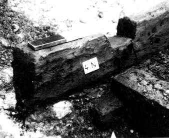 Srubová konstrukce v archeologických dokladech